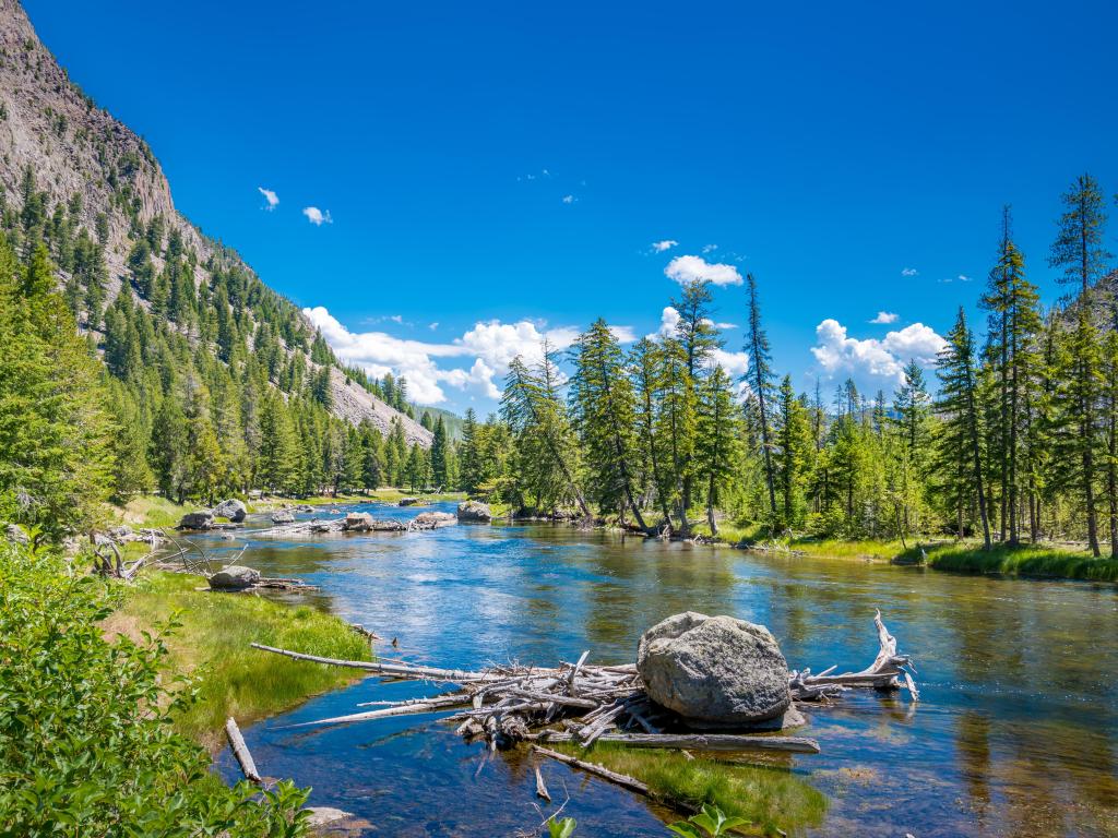 Yellowstone National Park - Madison River viewpoint on a sunny day.