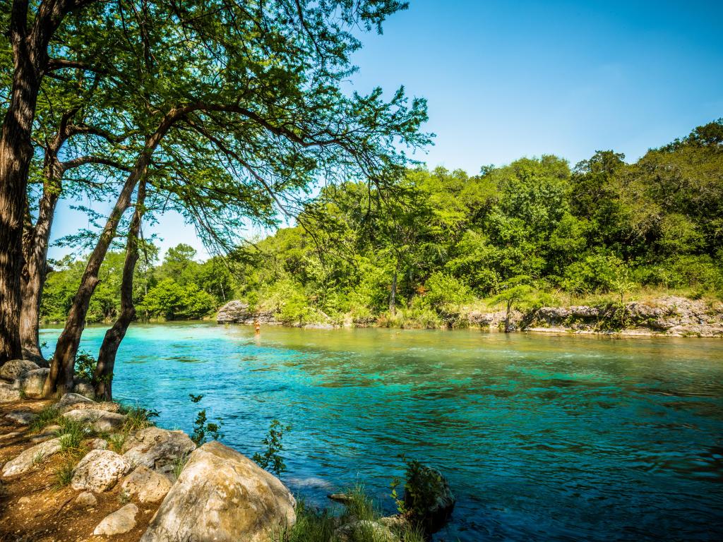 Views across Guadalupe River, clear waters and lush woodland, New Braunfels, Texas