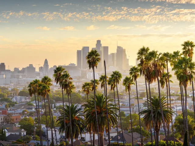 Los Angeles, California, USA with a view of the cityscape at downtown LA at sunset with palm trees in the foreground.