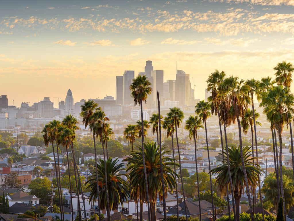 Los Angeles, California, USA with a view of the cityscape at downtown LA at sunset with palm trees in the foreground.