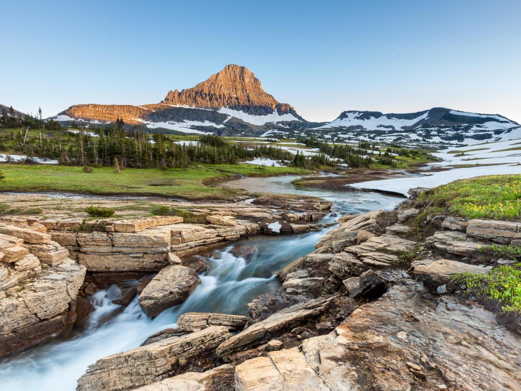 Beautiful nature at Logan Pass, Glacier National Park, MT in Summer