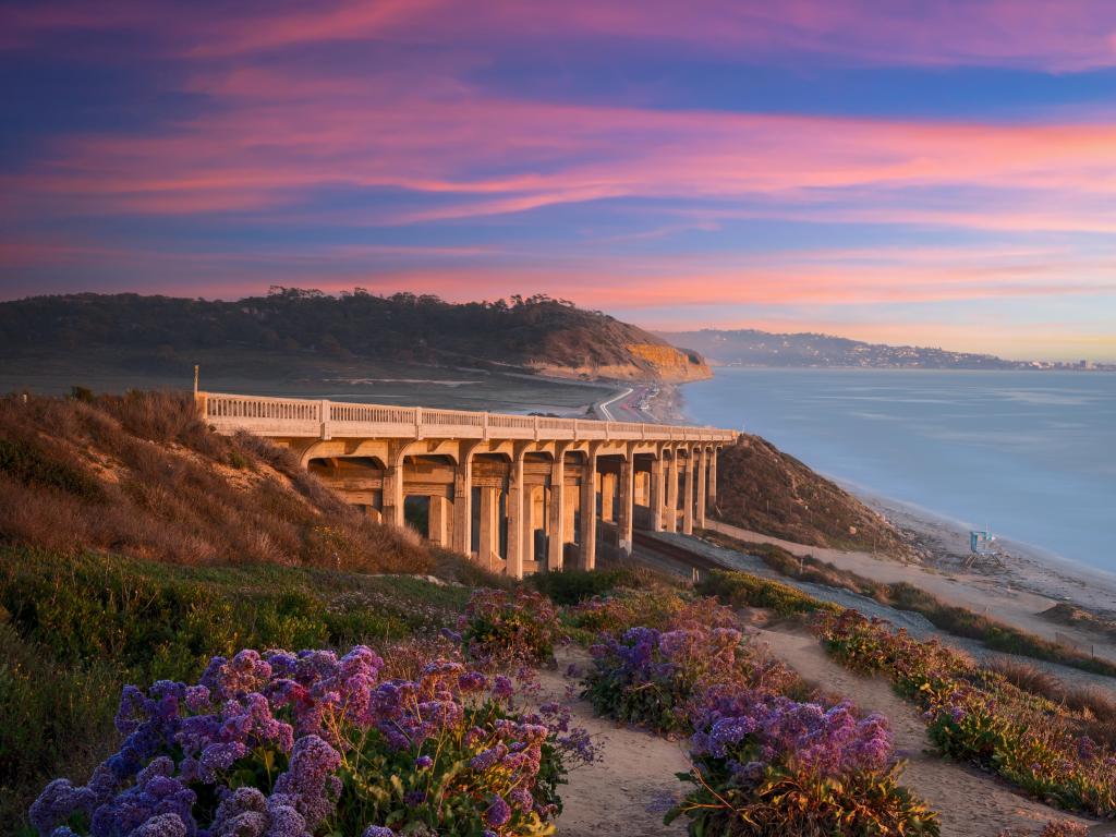 Purple and pink sunset behind the bridge at Torrey Pines State Beach in San Diego, California, with wildflowers in the foreground