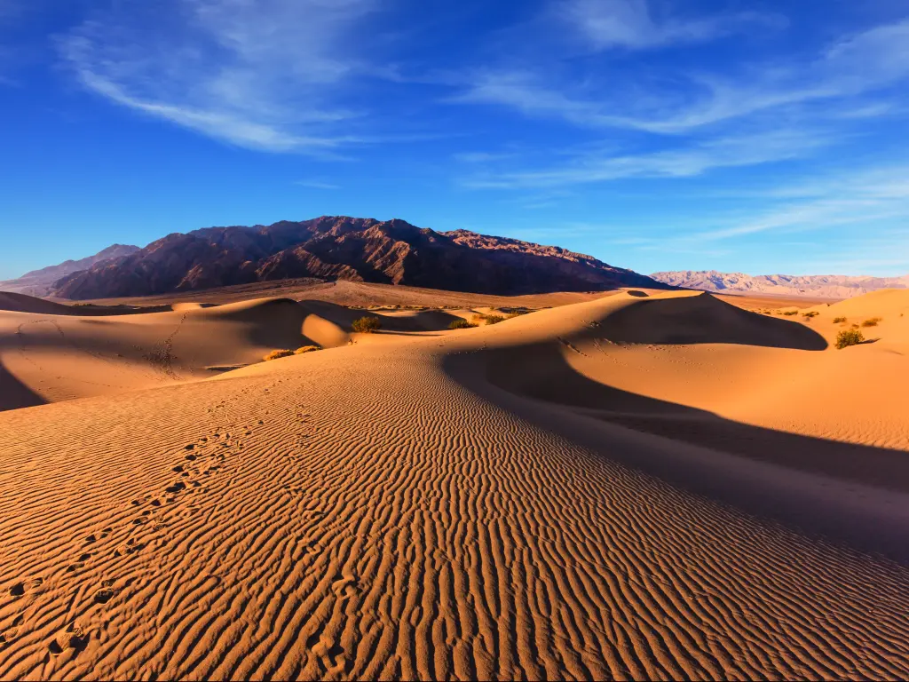A stunning image of the Mesquite Flat Sand Dunes with sands in orange color and a clear blue sky.
