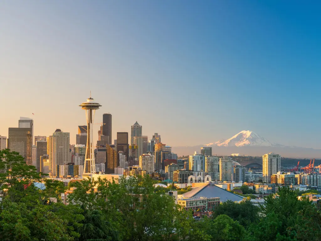 Downtown Seattle Skyline with Mt Rainier in the background under a blue sky with trees in the foreground
