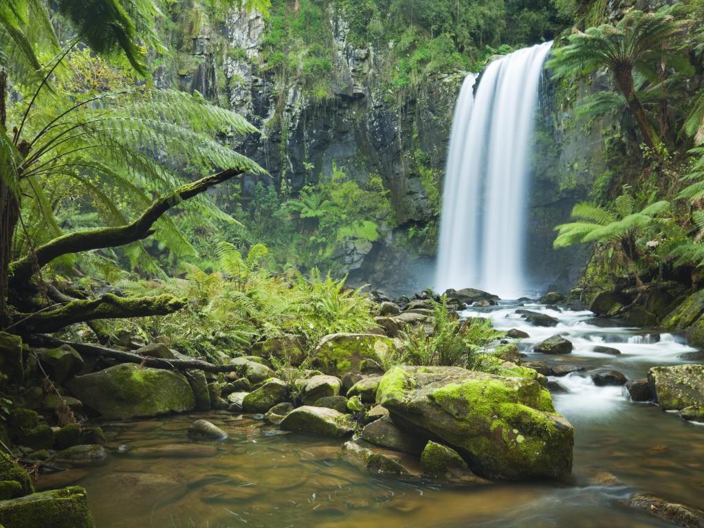 Hopetoun Falls in the Great Otway National Park in Victoria, Australia.