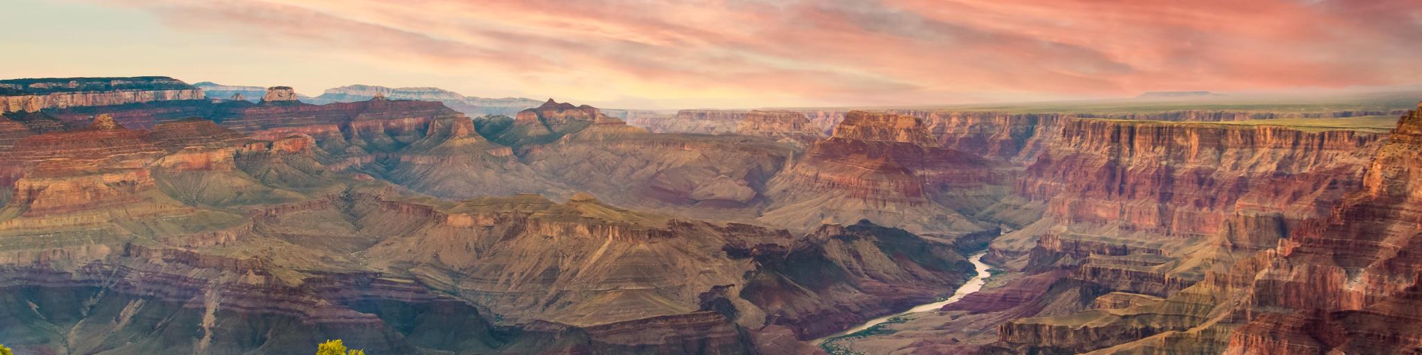 Grand Canyon, Arizona, USA with a panoramic view of the Colorado River at sunset with a red sky, bush in the foreground.