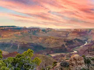 Grand Canyon, Arizona, USA with a panoramic view of the Colorado River at sunset with a red sky, bush in the foreground.