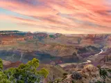 Grand Canyon, Arizona, USA with a panoramic view of the Colorado River at sunset with a red sky, bush in the foreground.