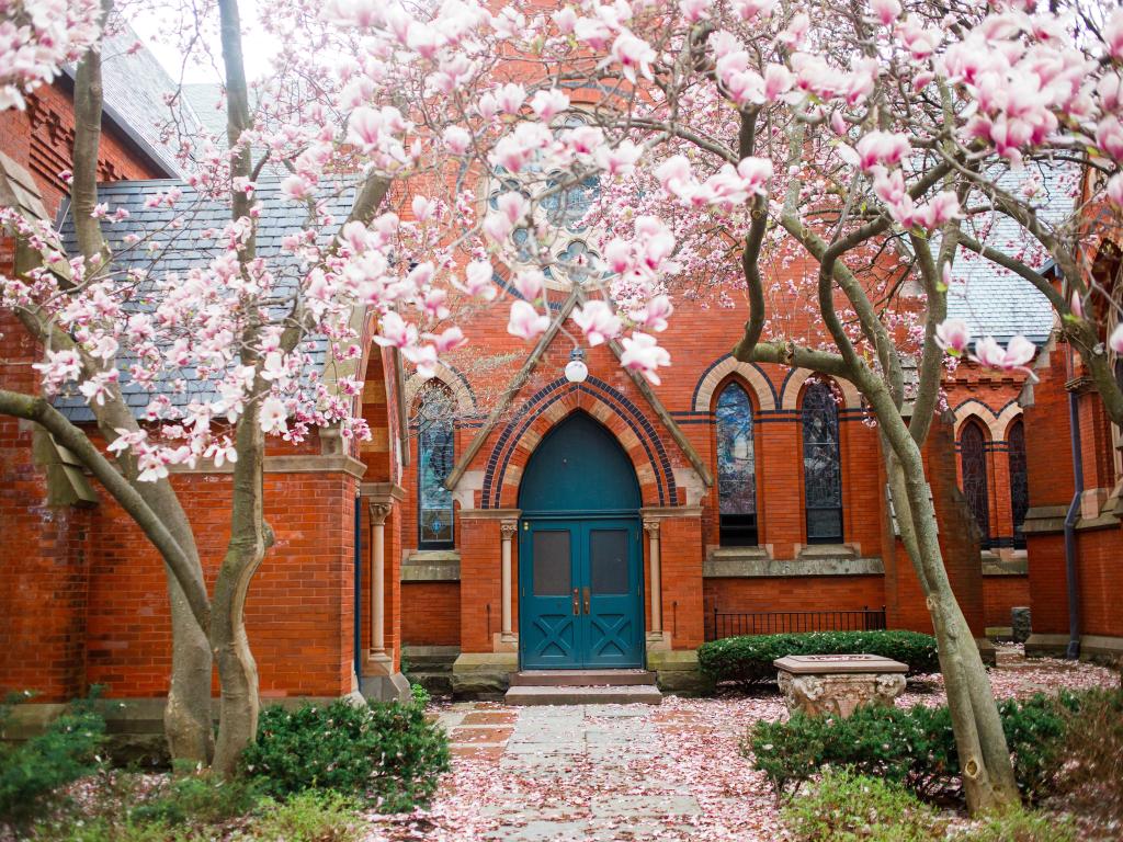 One of the doors of the Cornell University, framed by pink magnolias during spring