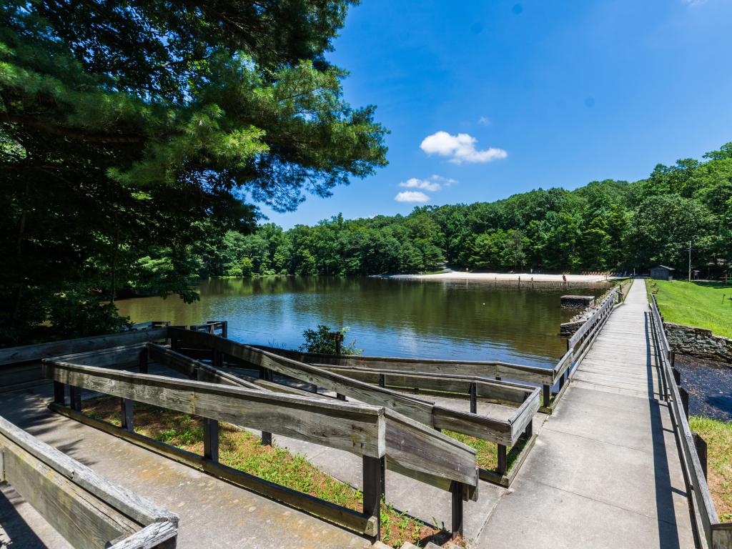 Lush forests, waters and walkways surrounded with blue skies, across Tuscarora State Forest in Pennsylvania