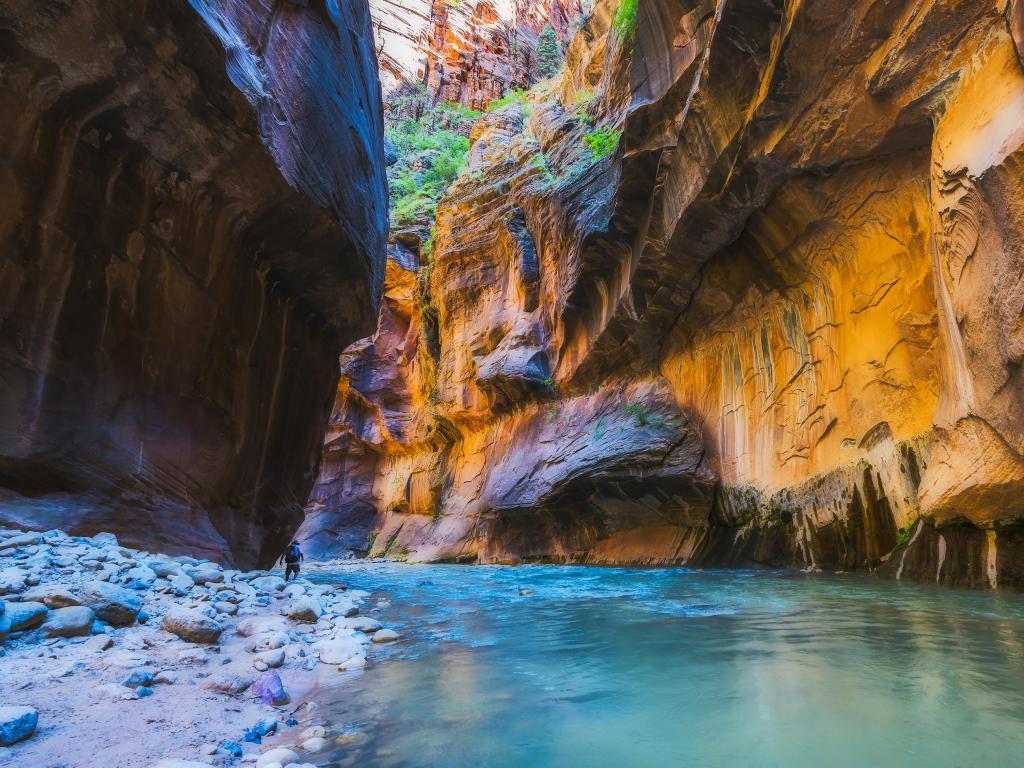 Zion narrow with Virgin River in Zion National Park,Utah,USA