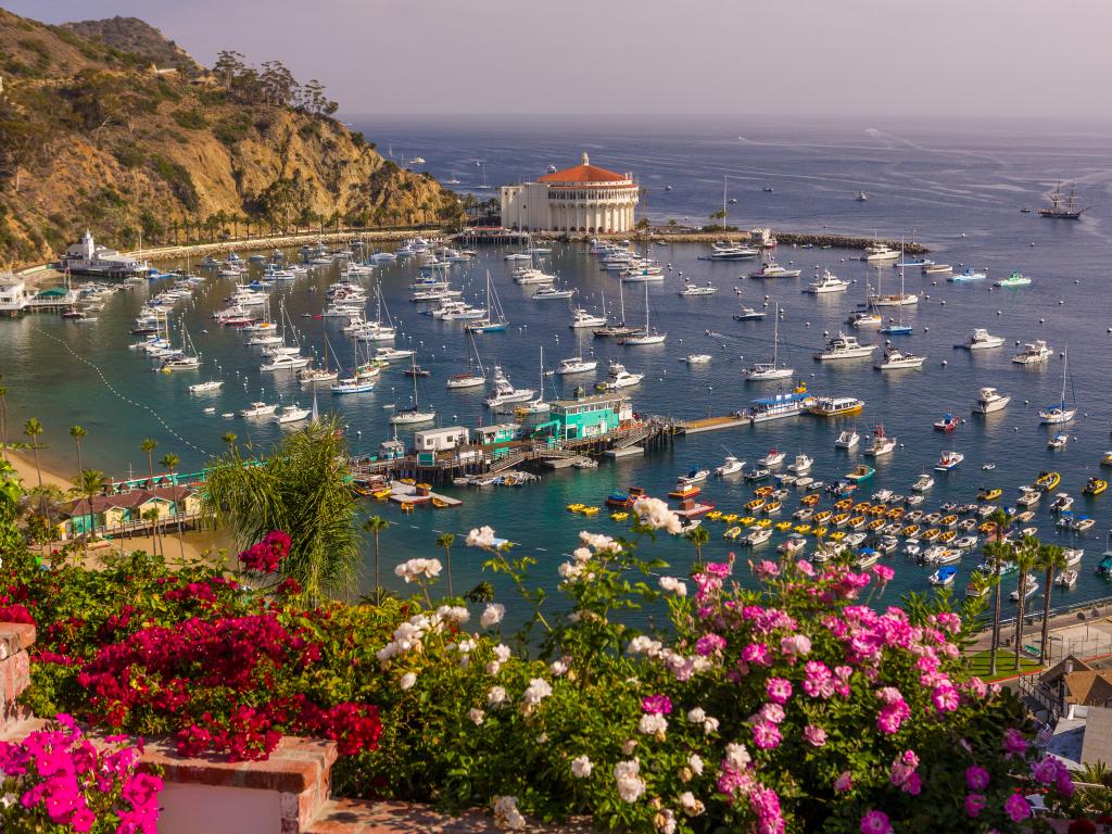 Avalon harbor on Santa Catalina Island just off the Californian coast.