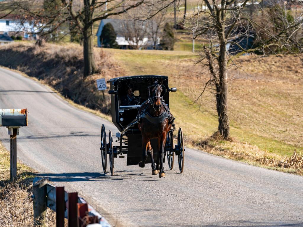 Amish buggies in Ohio’s Amish Country