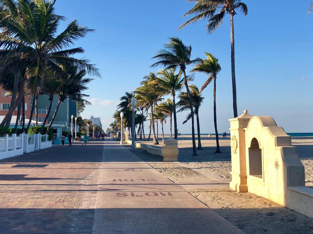 Palm trees along Hollywood Beach Boardwalk in Florida on a sunny day.