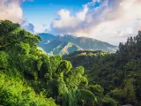 The Blue Mountains in Jamaica, forested hills with clouds in the sky