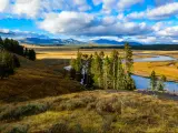 Yellowstone National Park, Wyoming USA autumn river, panorama