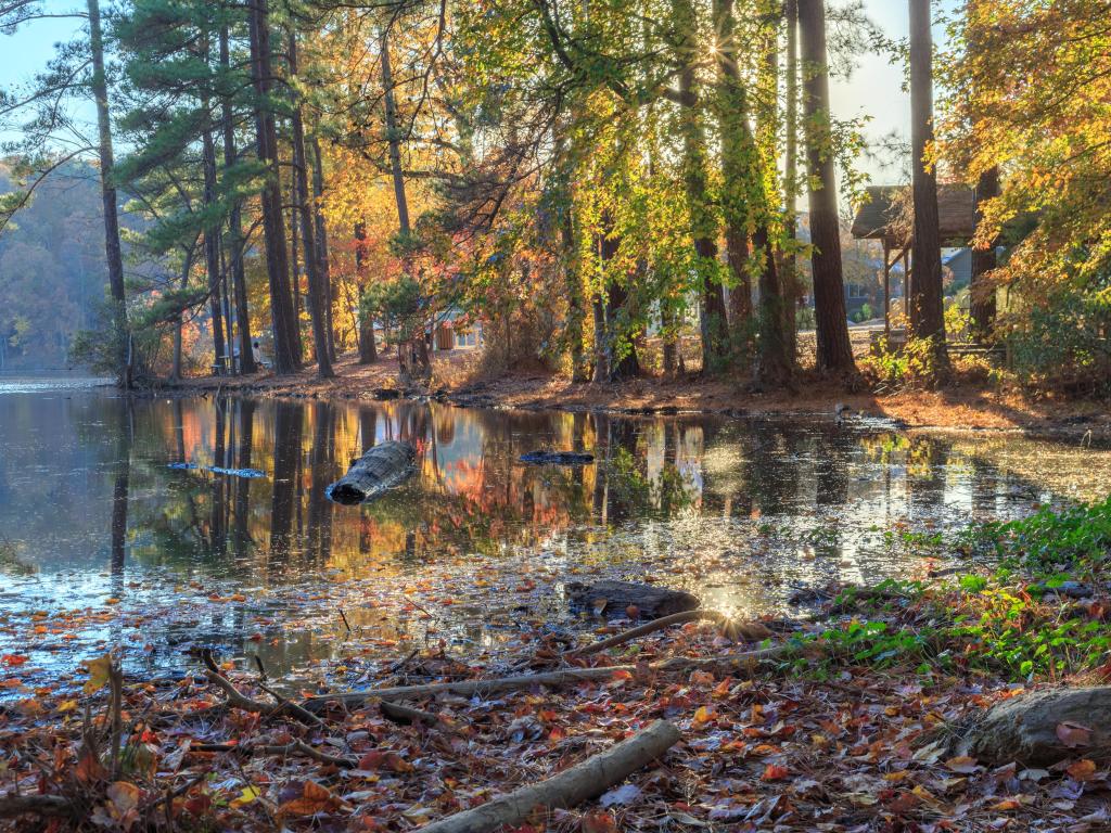 Raleigh, NC, USA taken at Lake Johnson in fall season with trees in the distance and sun shining through. 