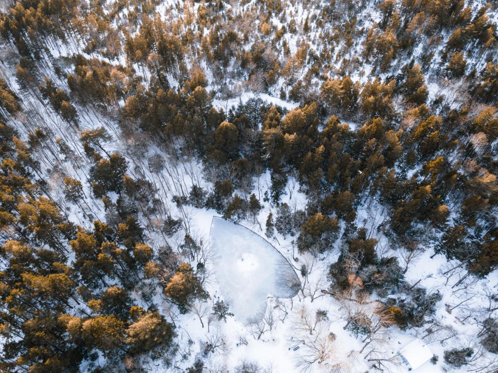 Heart-shaped Pond of Hemlock Ravine Park in winter, aerial photo of trees with snow on the ground