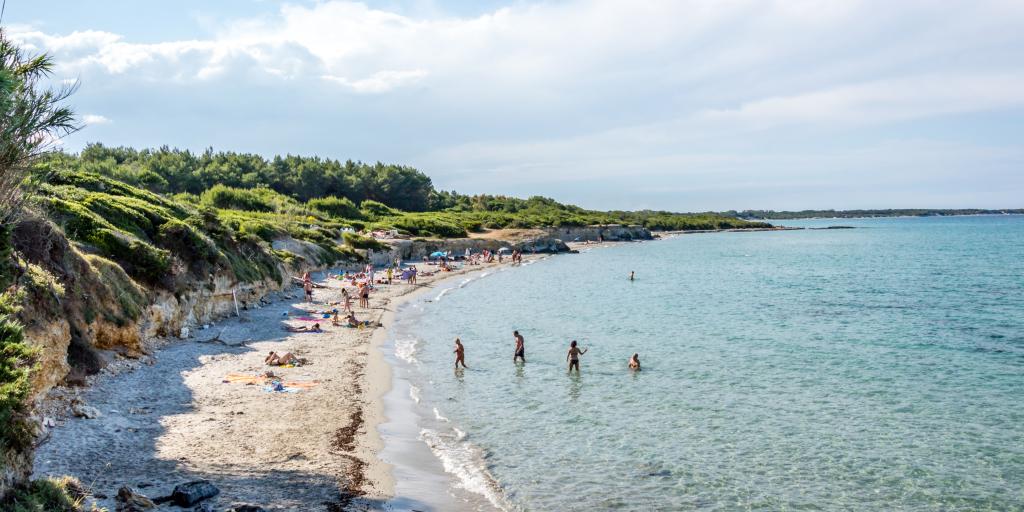 A beach backed with green vegetation. There are people playing in the water.