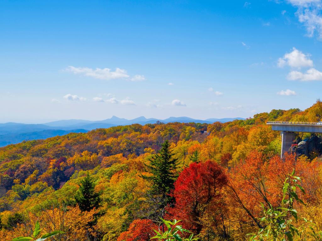 The Blue Ridge Parkway winding through the Appalachian mountains and the autumnal foliage.