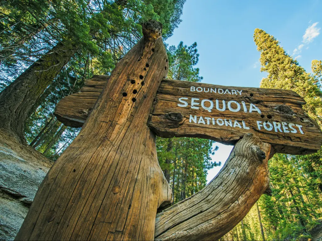 Sequoia National Park, California, USA with the wooden sign on the Sequoia National Park Road taken on a sunny day.