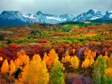 Beautiful view of Colorado in Autumn
