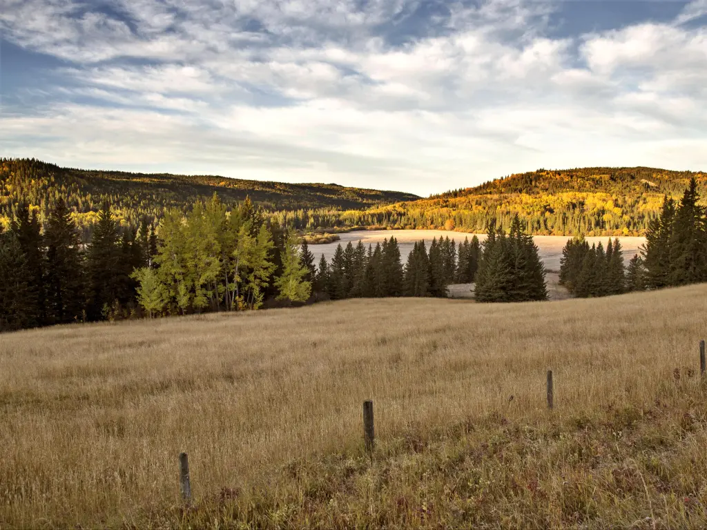 Fall colors across wide view across Cypress Hills Canada Interprovincial Park 