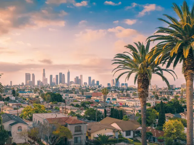 Beautiful sunset of Los Angeles downtown skyline and palm trees