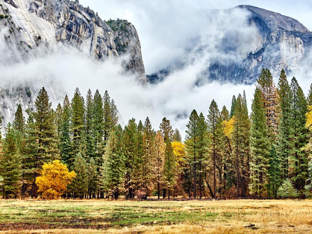 Yosemite National Park, California, USA at cloudy fall morning with low clouds laying in the valley. 