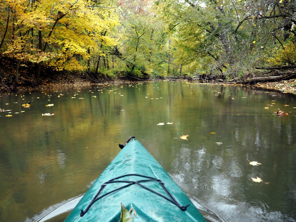 The green trees reflected the water with the leaves falling near a green kayak along the Calumet River in Indiana Dunes National Park.