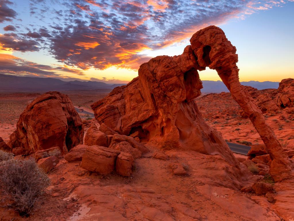 Elephant Rock in Valley of Fire State Park, USA at sunset with the rock formation in the foreground. 