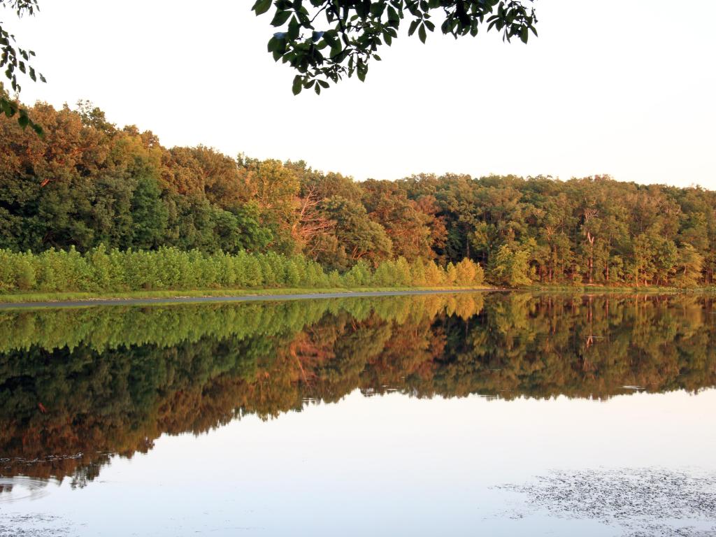 Autumnal trees with colorful foliage reflecting on the lake