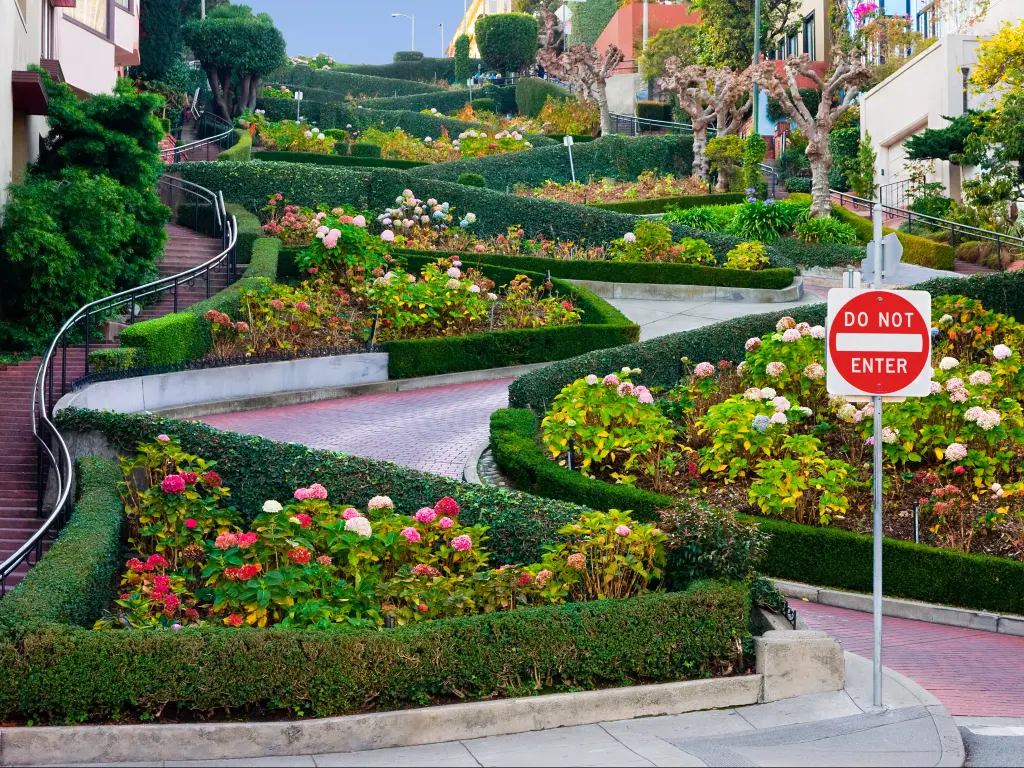 Lombard Street in San Francisco with sharp hairpin turns on a steep hill among flowerbeds.