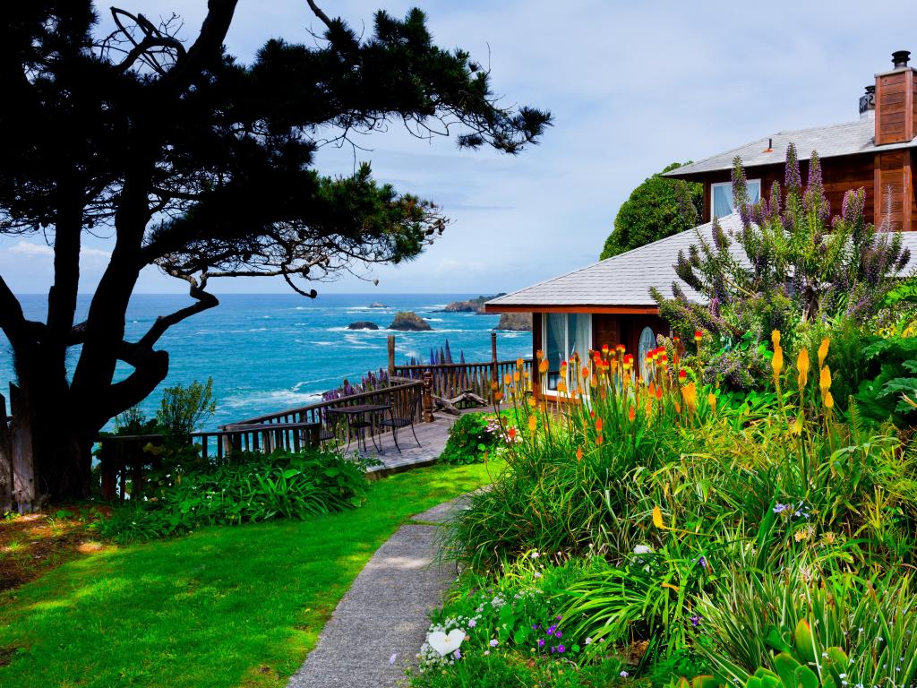 Mendocino, California, USA with flowers in the foreground and a tree, sea in the distance.