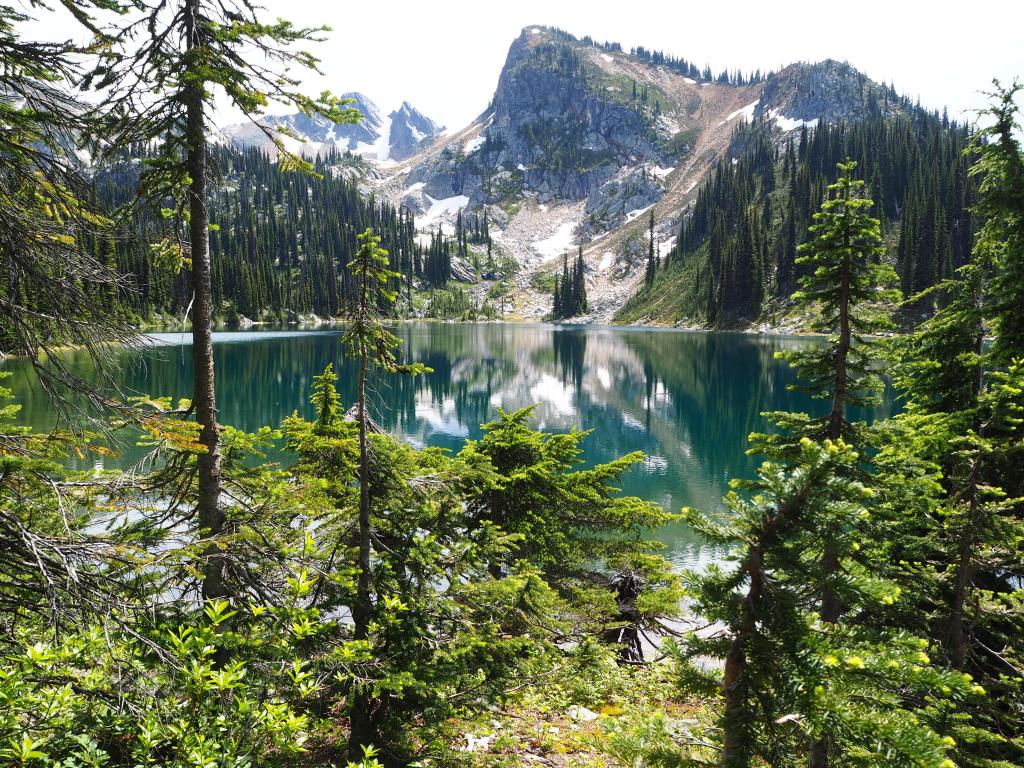 Revelstoke Mountain, Canada with trees in the foreground and lake beyond it, mountains in the distance on a sunny day.