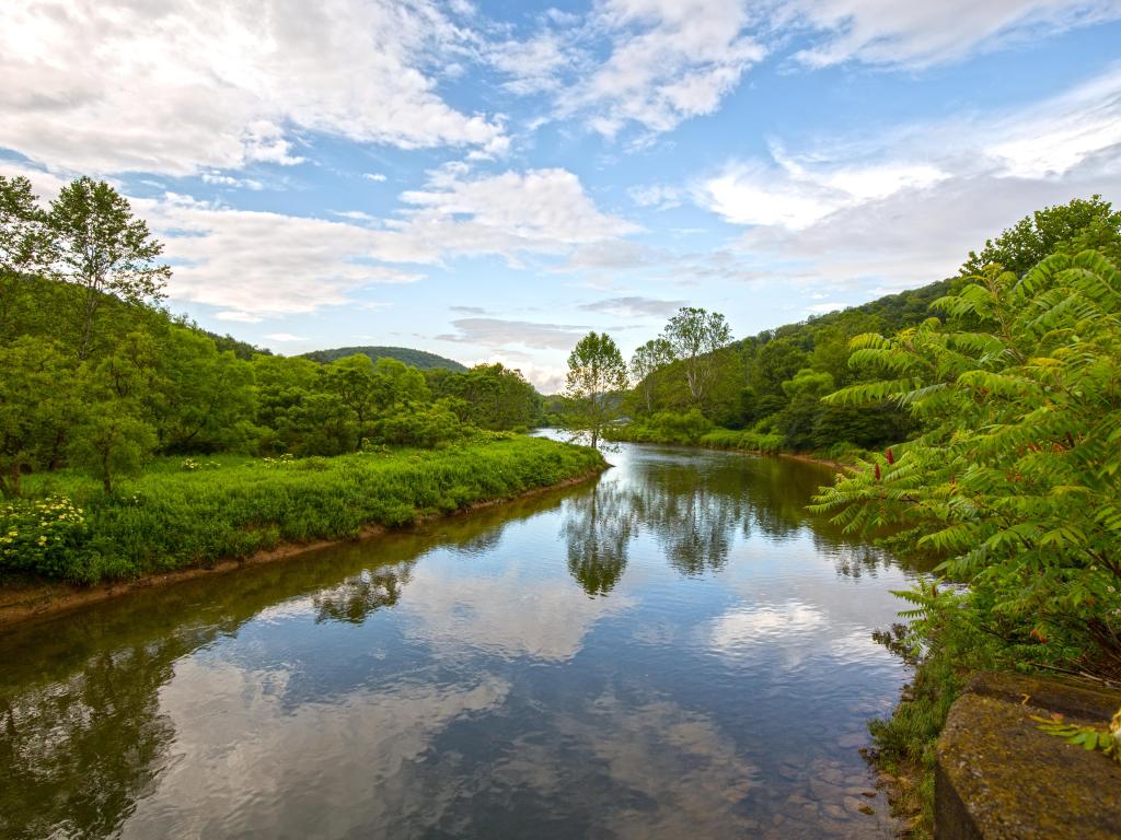 Beautiful day along Tionesta Creek in the Allegheny National Forest near Warren, Pennsylvania.