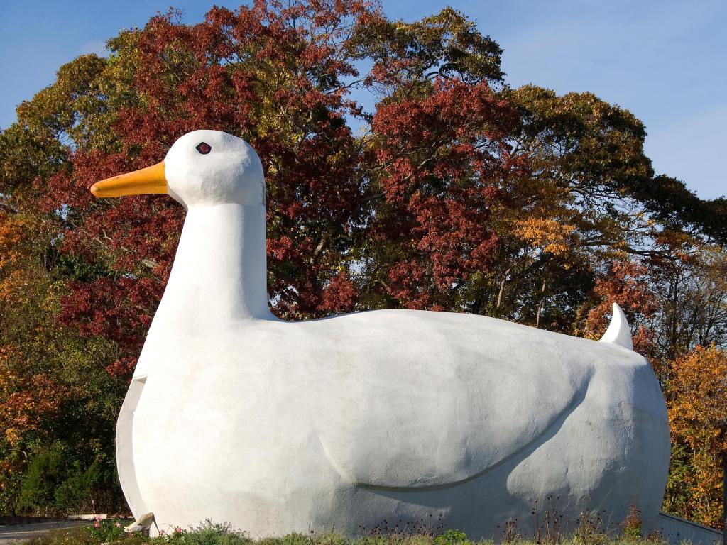 On a fresh fall day, consider a visit to the Big Duck - an iconic landmark on Long Island dating back to 1931. This unique structure, once a storefront for selling locally raised ducks, brings a charming dose of history to your journey.