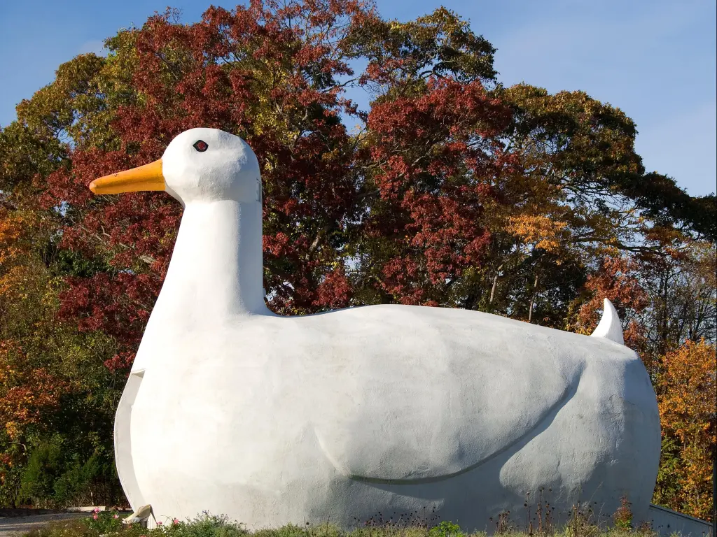 On a fresh fall day, consider a visit to the Big Duck - an iconic landmark on Long Island dating back to 1931. This unique structure, once a storefront for selling locally raised ducks, brings a charming dose of history to your journey.