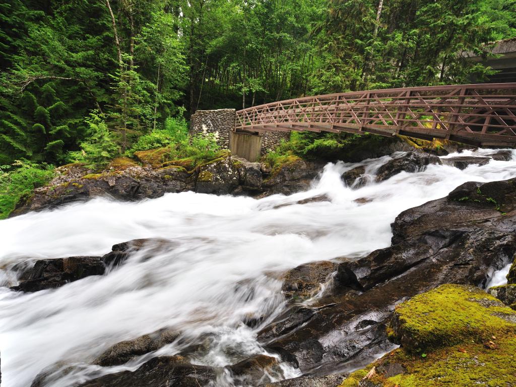 Waterfalls in a green forest, cascading through the rocks