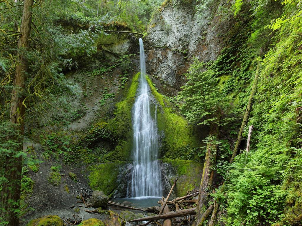 Cascading waterfalls among trees and moss-covered stone cliff