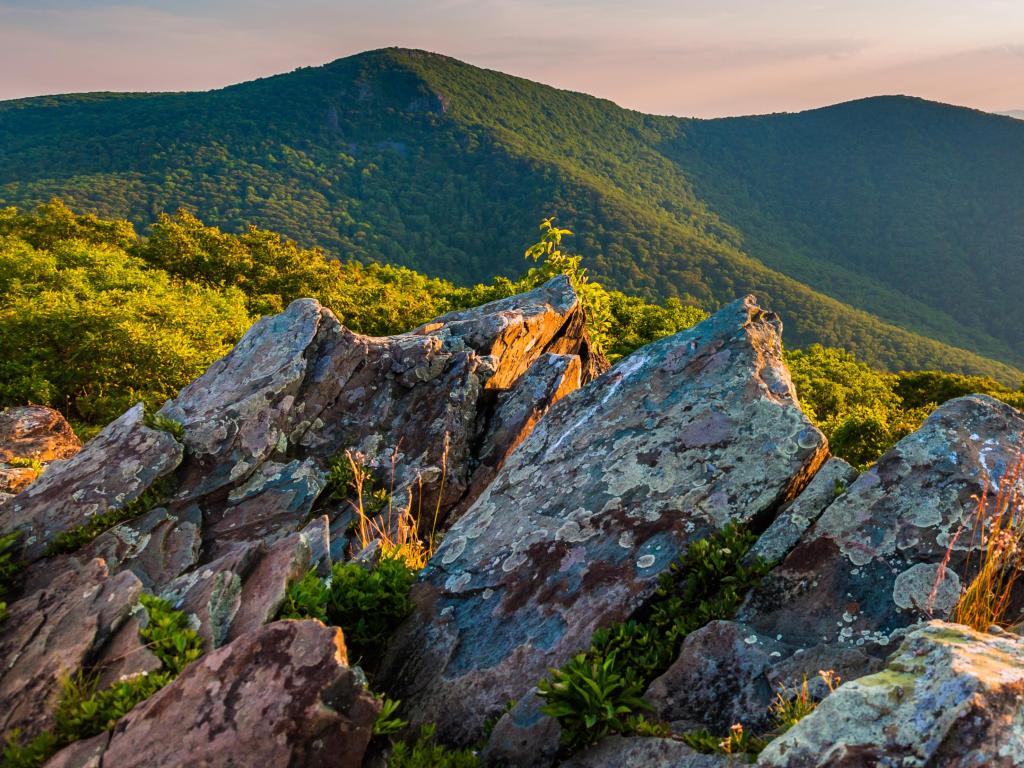 Shenandoah National Park, Virginia, USA at early evening view toward Hawksbill Summit from Betty's Rock, along the Appalachian Trail.