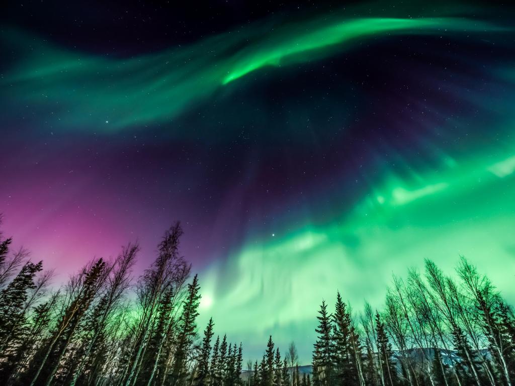 Night sky showing the purple and green Northern lights in a wave