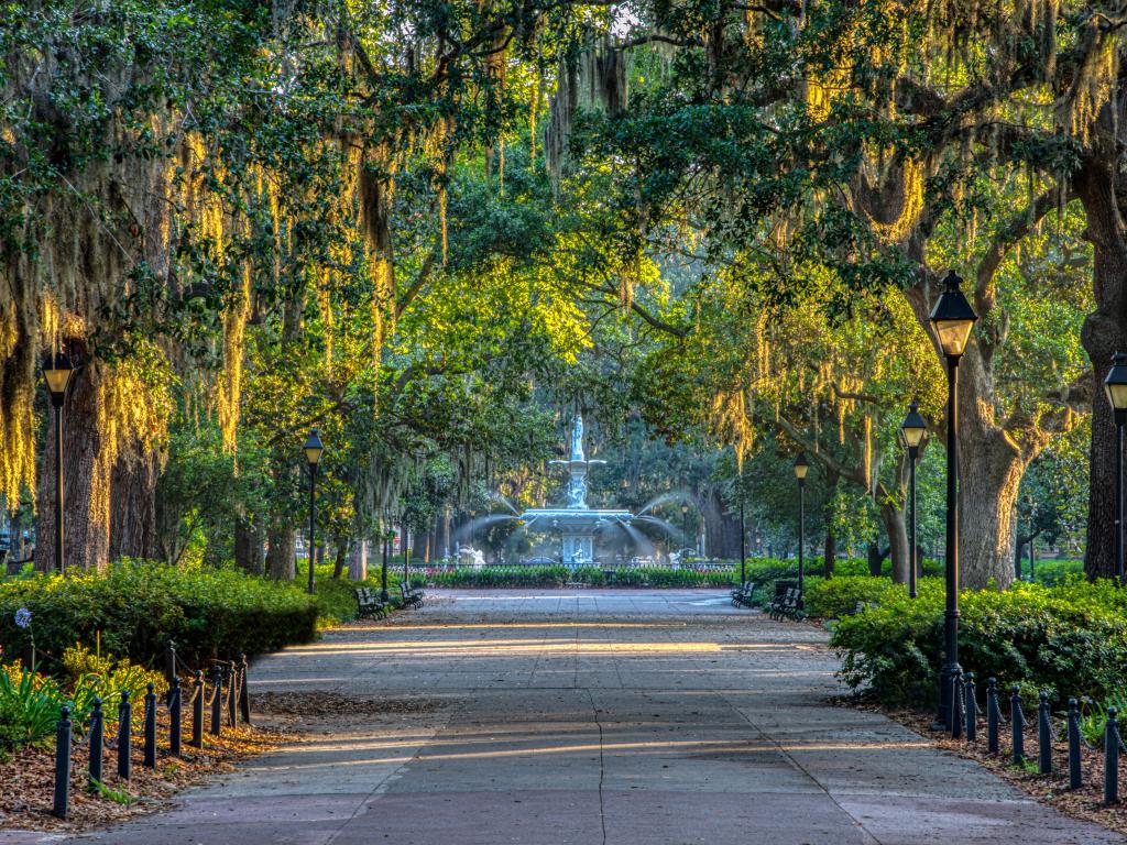 Sunrise on Spanish moss and fountain