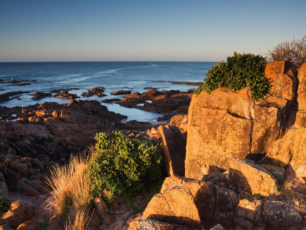 Anna Bay, NSW, Australia with rugged rocks and plants in the foreground, and the sea in an evening light in the distance. 