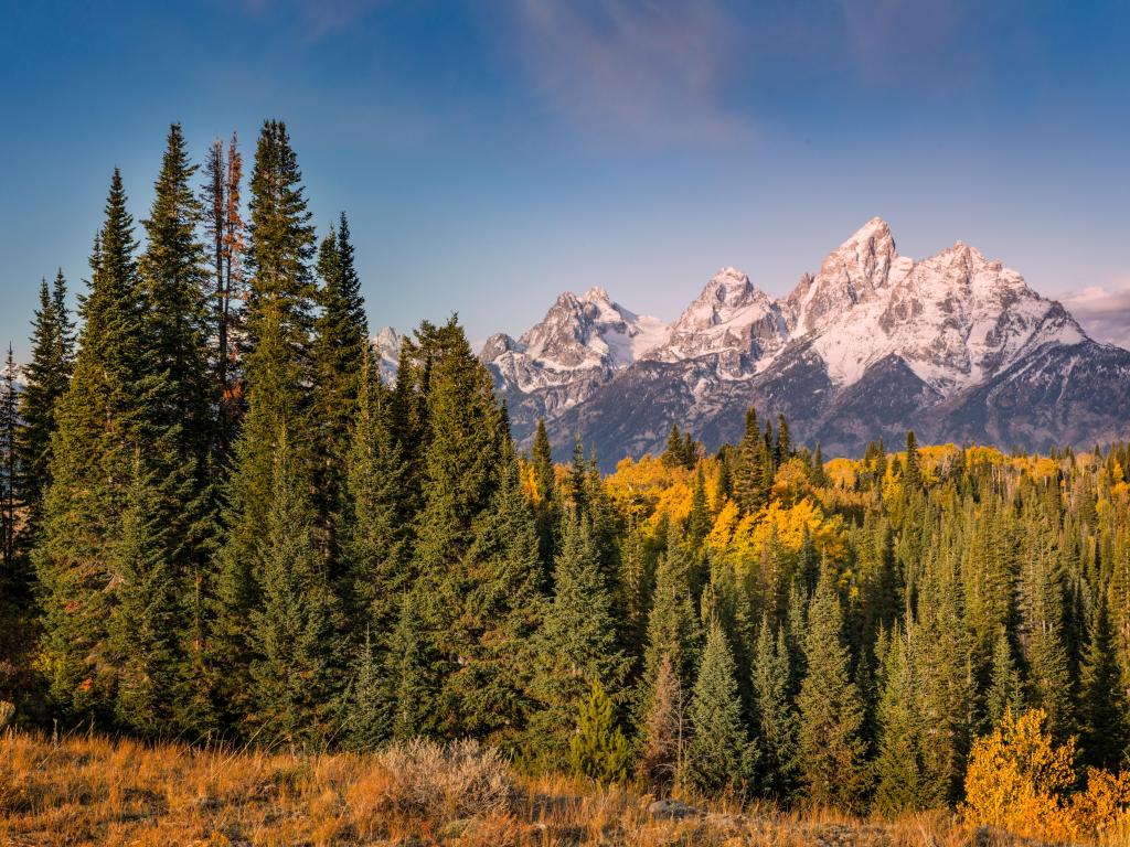 Autumn sunrise view of Teton Range, Grand Teton National Park, Wyoming.