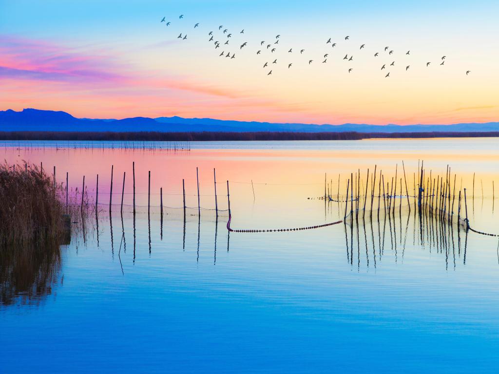 Natural Park of the Albufera of Valencia