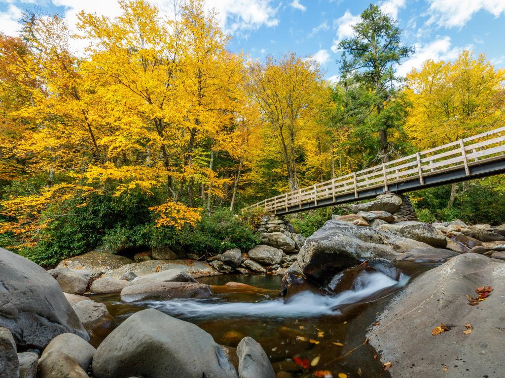 Chimney Tops trailhead in Fall at Great Smoky Mountains National Park, Tennessee, USA with a bridge over a river.
