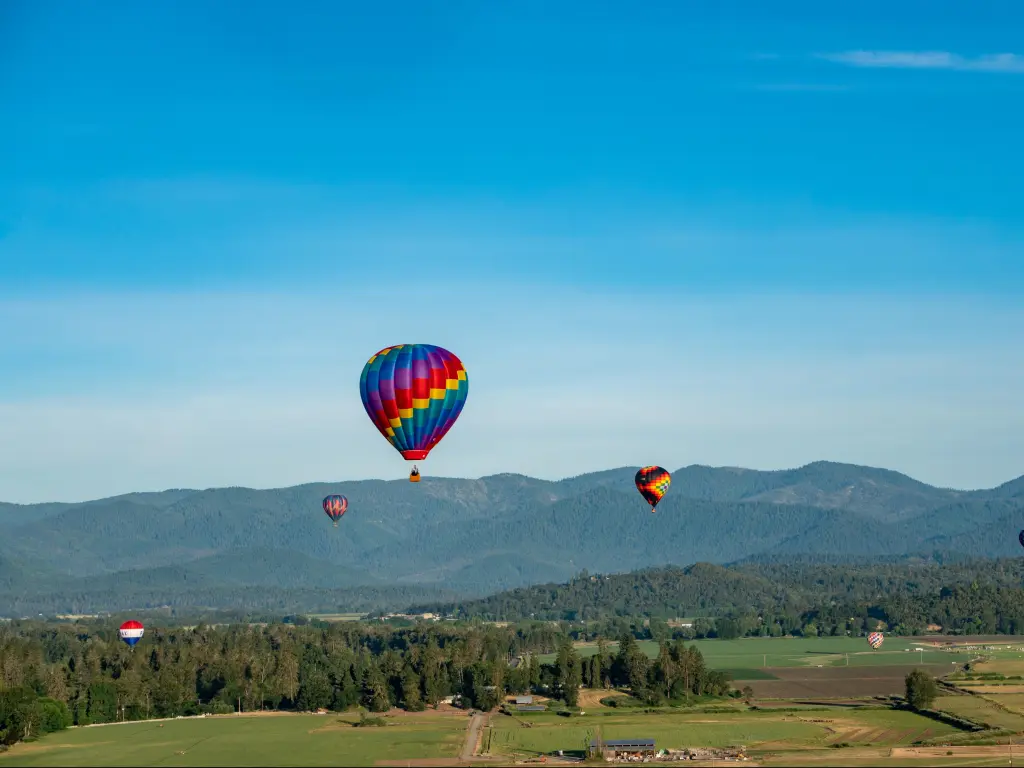 Grants Pass, Oregon, USA taken during the Balloon & Kite Festival with multi-colored balloons against a blue sky, hills in the distance.