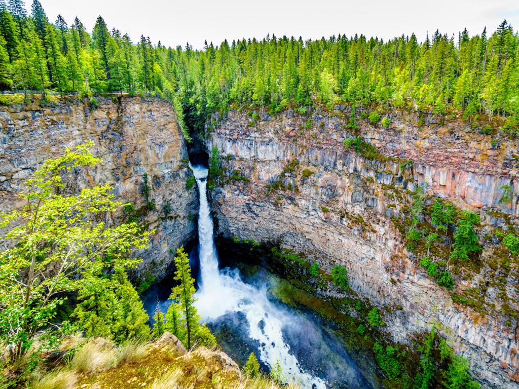 Beautiful waterfall on a rock cliff, evergreen trees cover the top of the hill above the waterfall