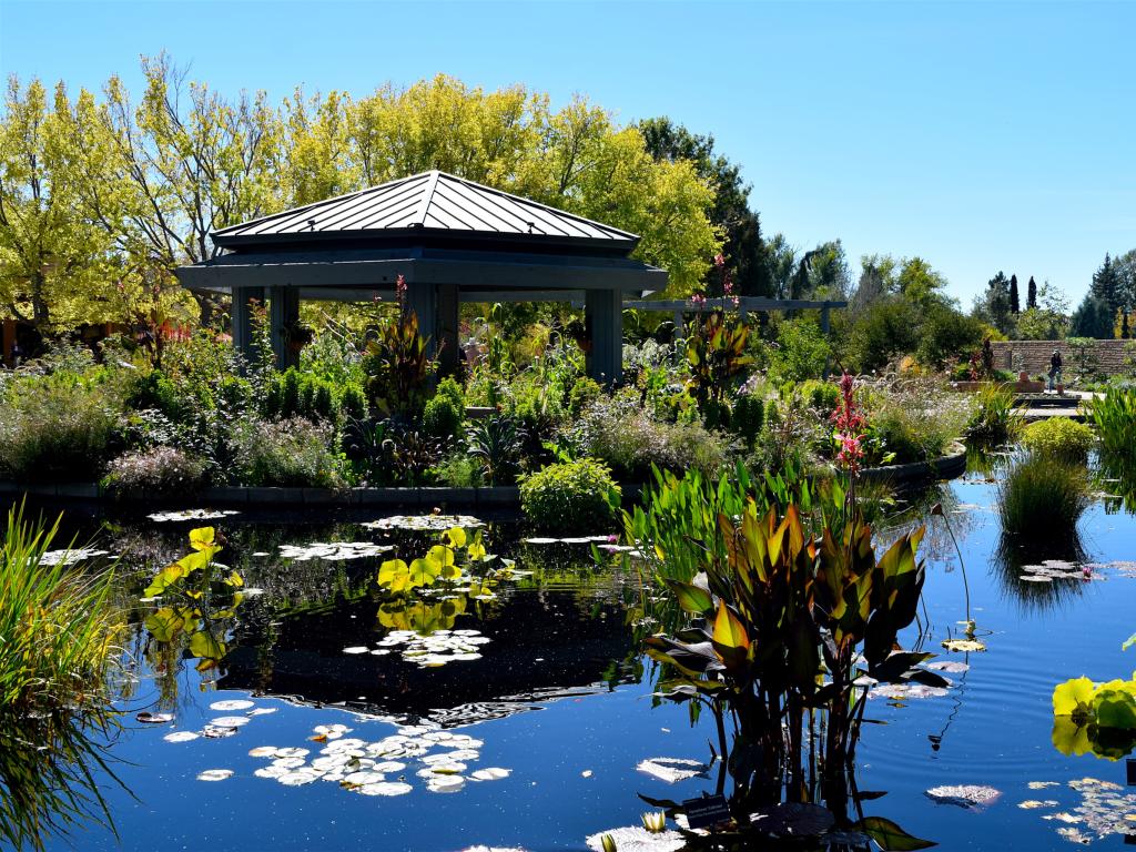 A water feature at the Botanic Gardens in Denver